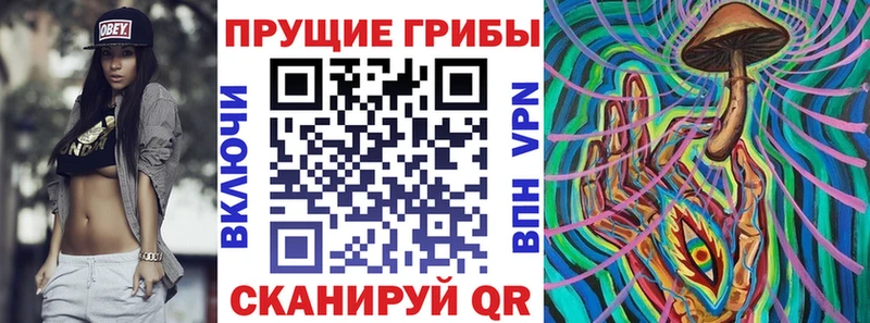 Галлюциногенные грибы Psilocybine cubensis Нарткала
